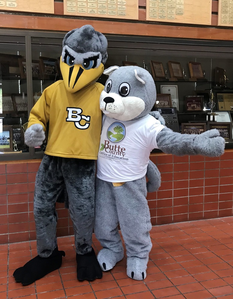 Mascot Moves
