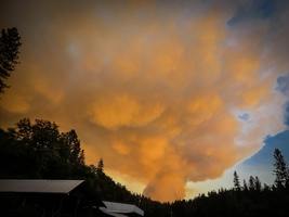 Updates on 2017 Wildfire Relief