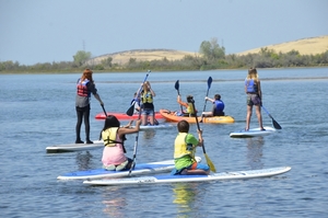 Forebay Activity Grades 4-12