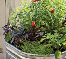 Garden Club on Mondays!