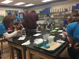 Families build, experiment and play at STEAM Night