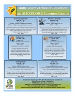 Summer Theme-Camps