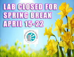 Come Back closed for Spring Break 4/15-4/22!