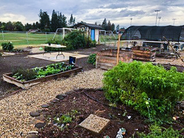 A Garden Grows at Pleasant Valley High School